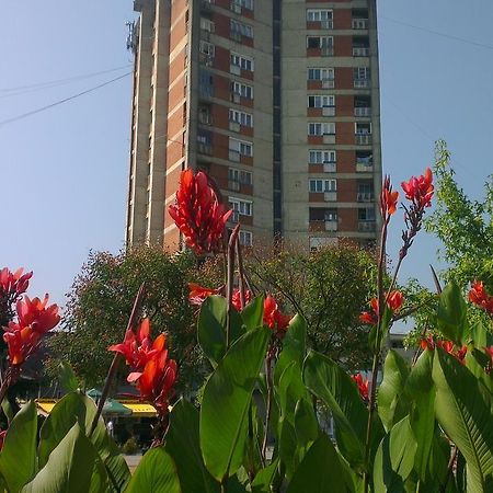 Hotel Konaciste Goc Trstenik Bagian luar foto