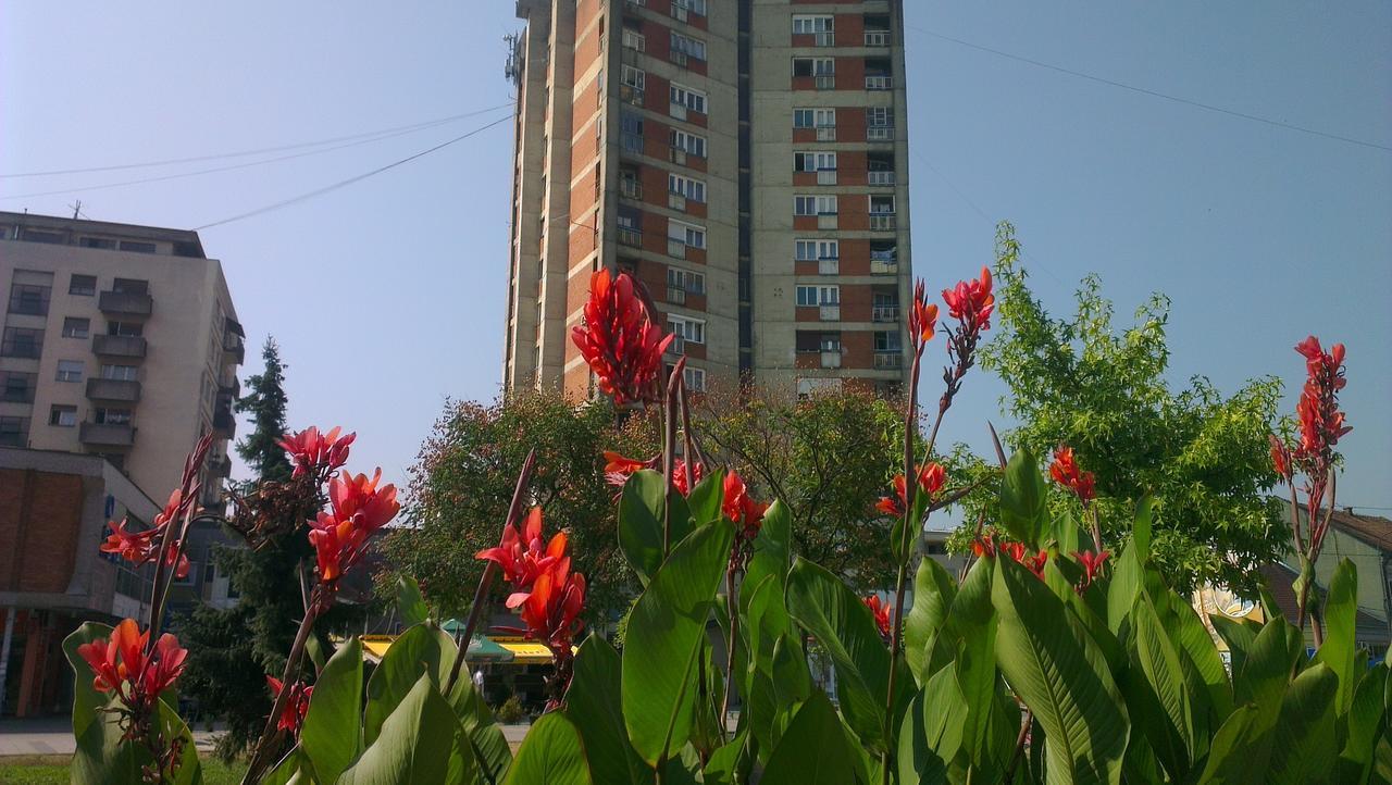 Hotel Konaciste Trstenik Bagian luar foto